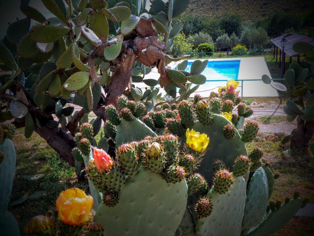 Villa Agriturismo Timpa Del Sole à Noto Extérieur photo